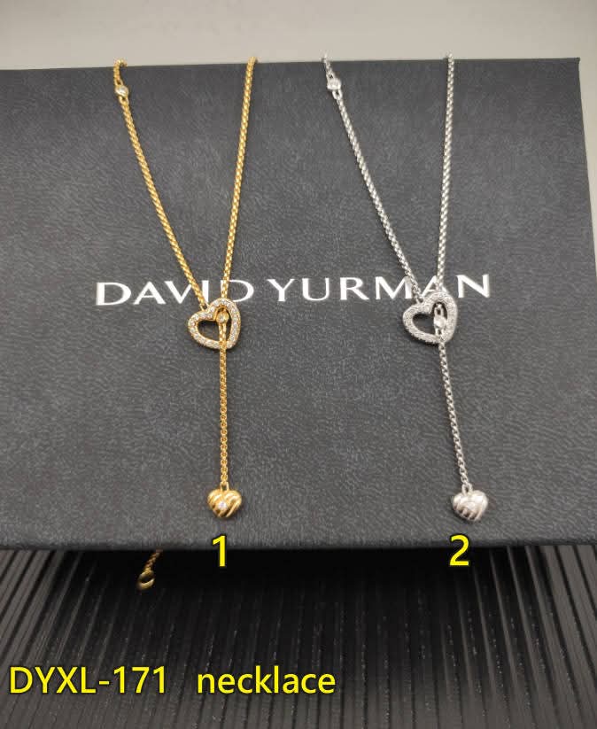DY Heart Adjustable Necklace