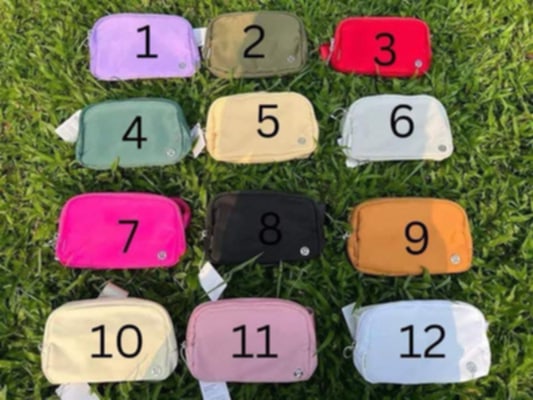 Lu Belt Bags 12