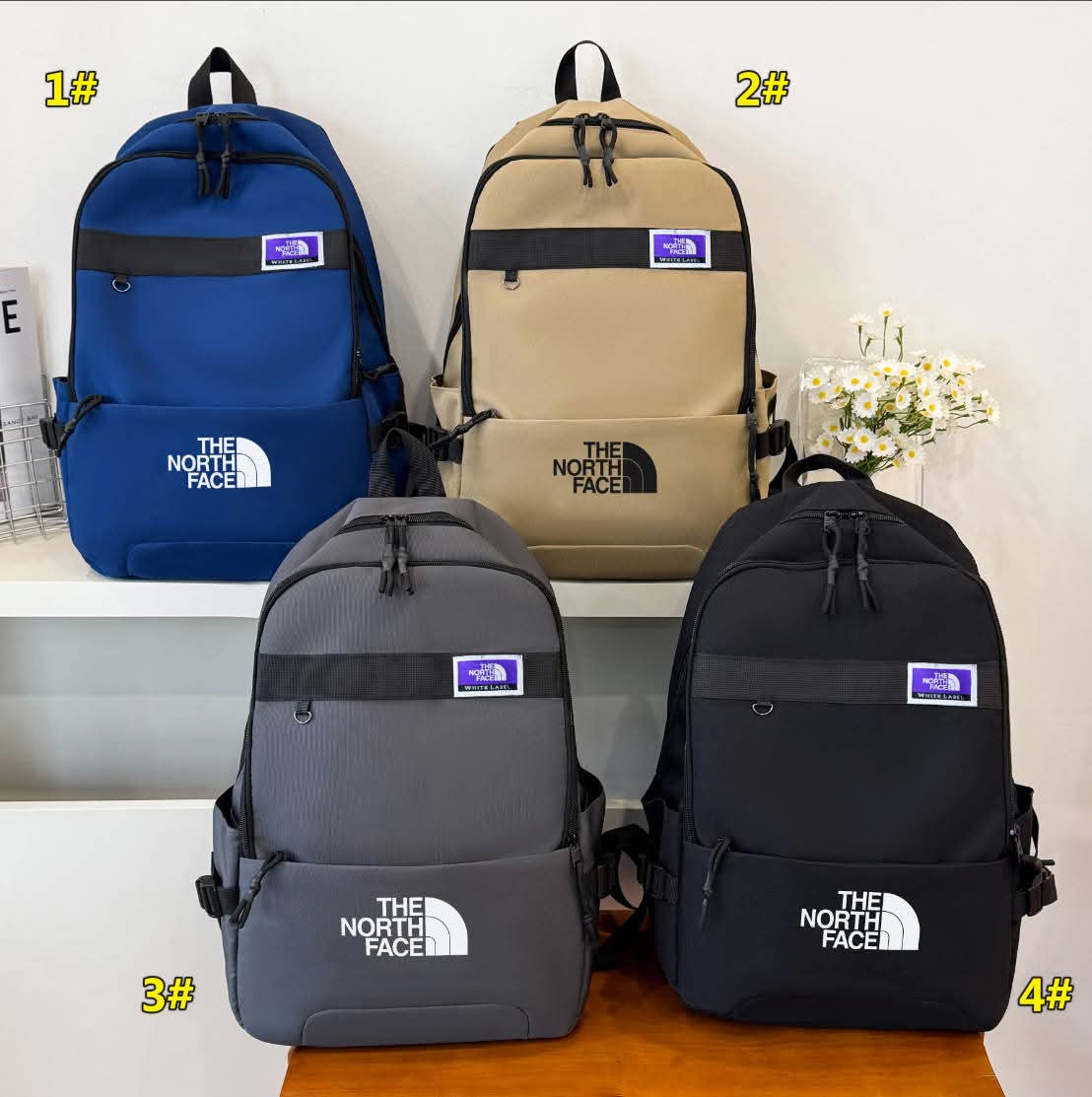 TNF Backpack 2