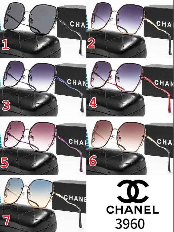 CC Sunglasses 6