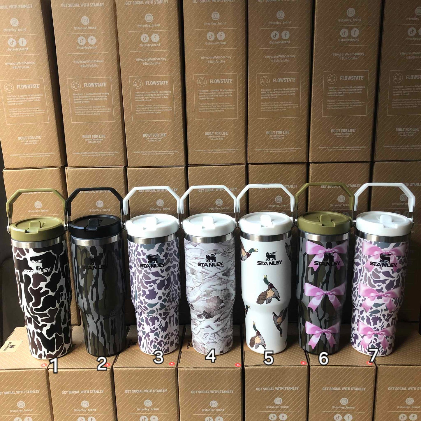 S-Cups 6