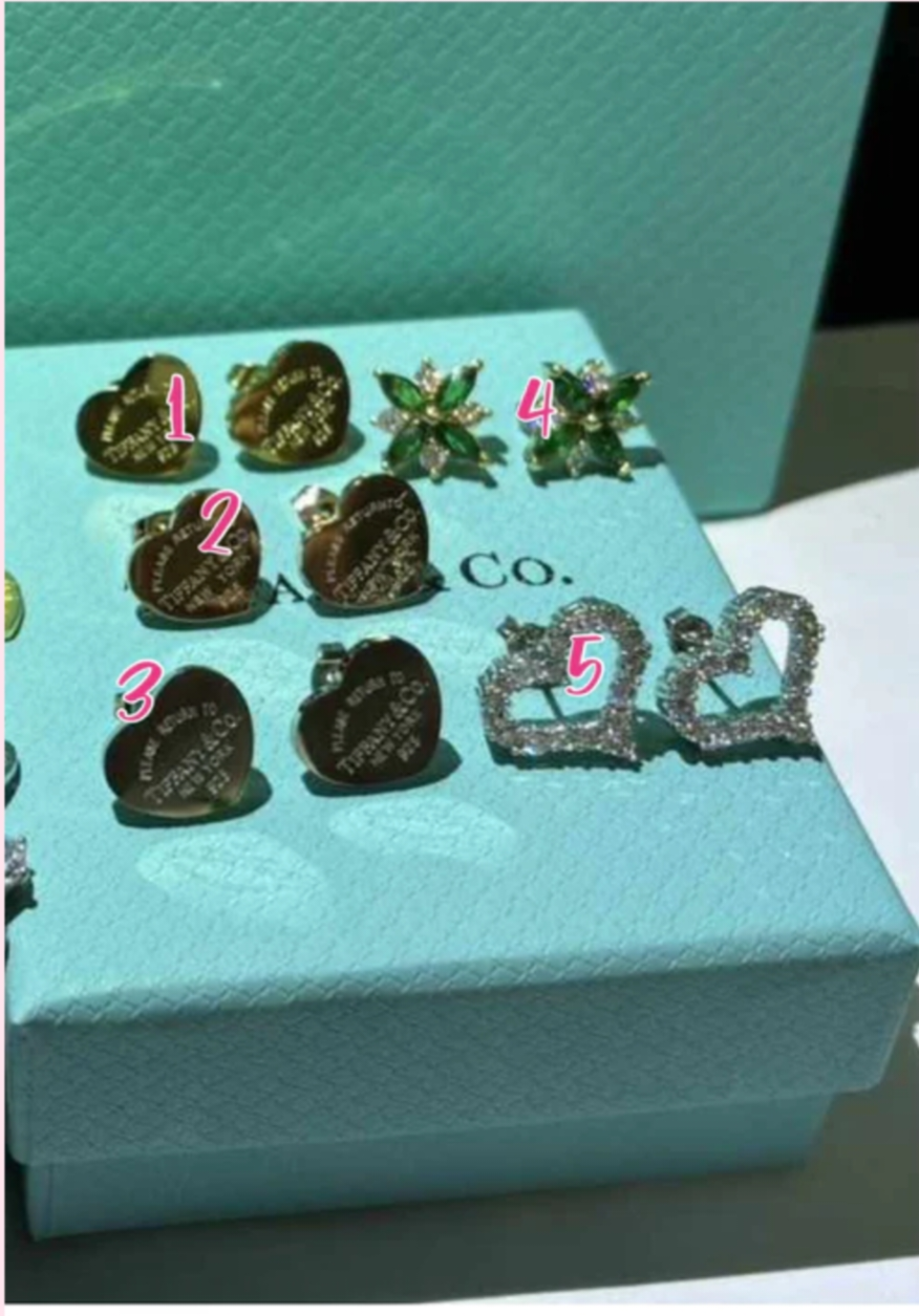 T Assorted Earrings