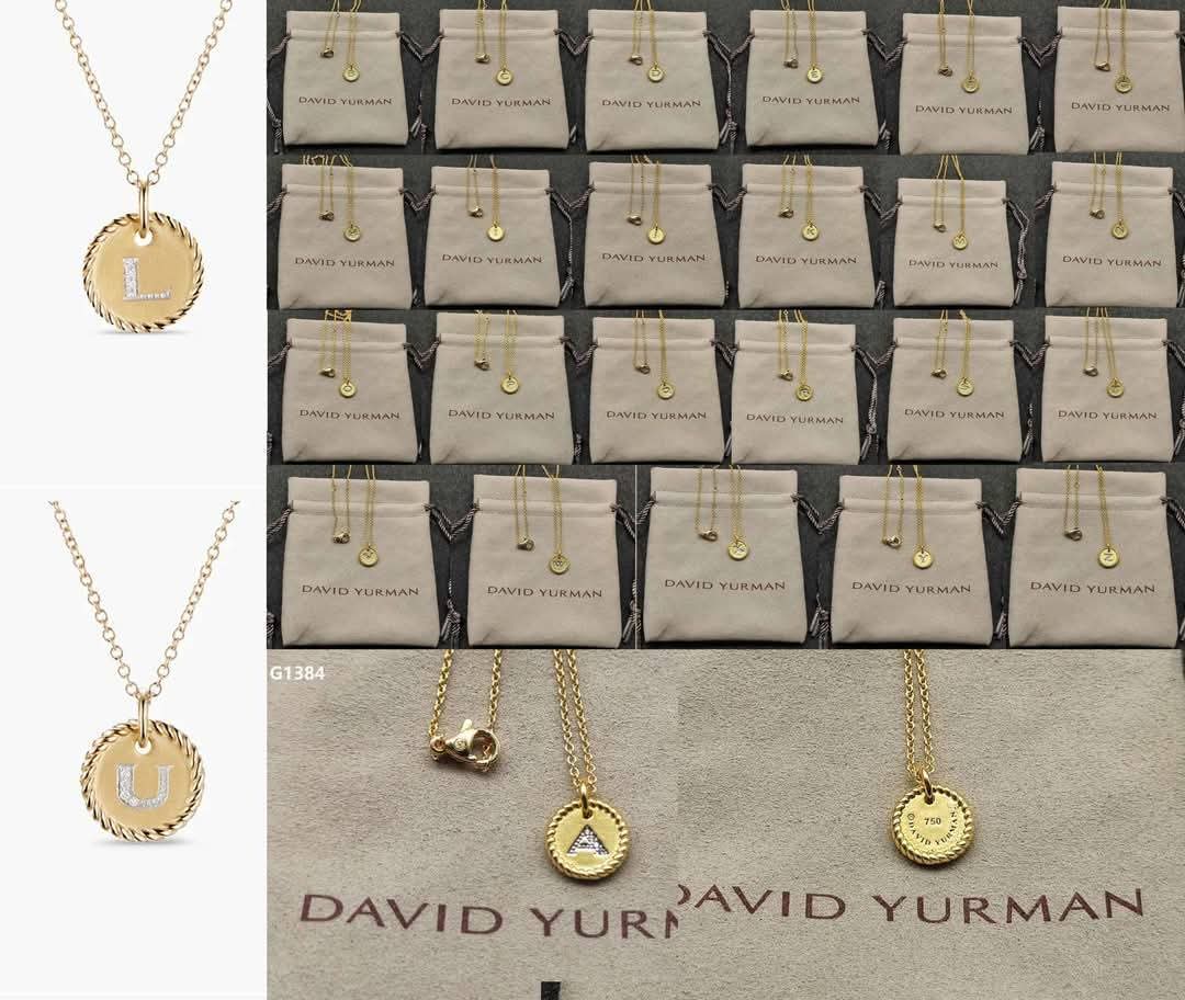 What a deal Wendsday David initial necklace