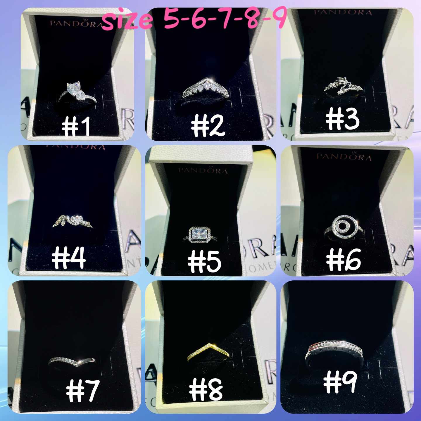 PD Rings