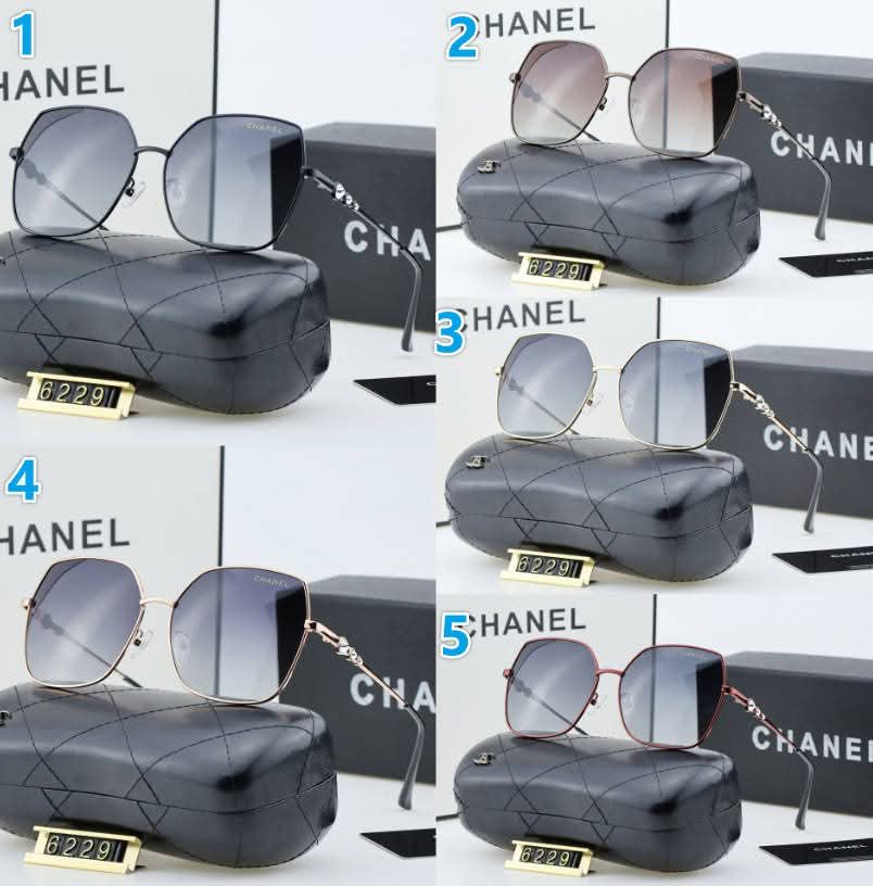 CC New Sunglasses 2