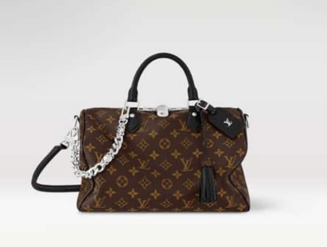 L Speedy Bag W Silver Chain