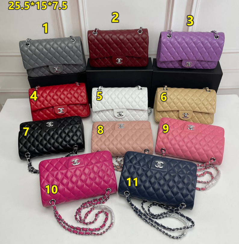 CC Quilted Bags w Chain