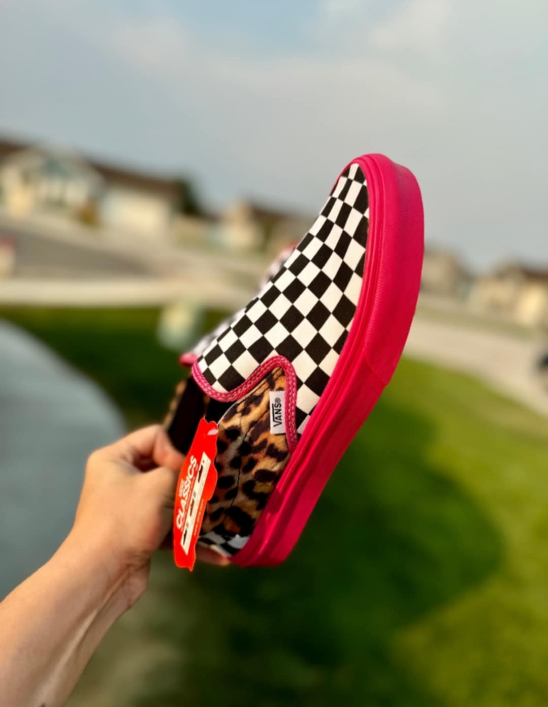 V Leopard/Checker