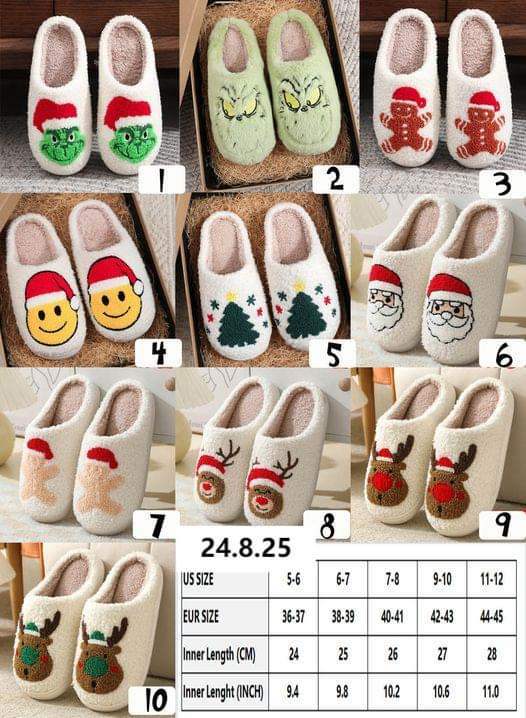 Holiday Slippers 🎄