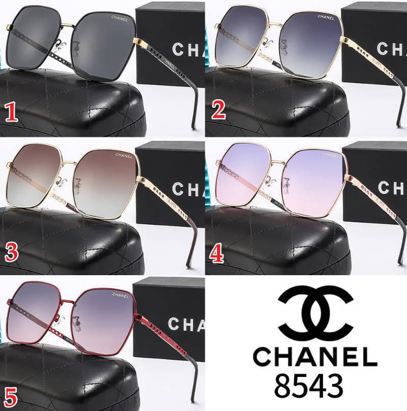 CC Sunglasses 5