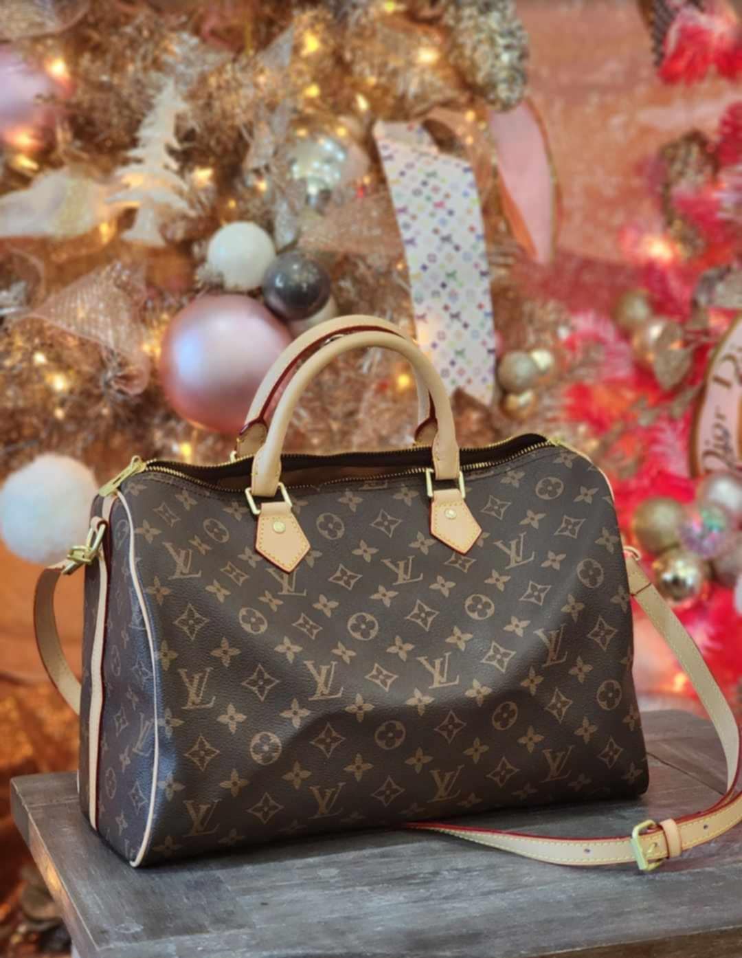 L Speedy Bag